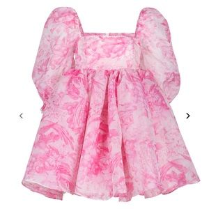 Selkie Plus The Babydoll Toile Lace Puff Dress